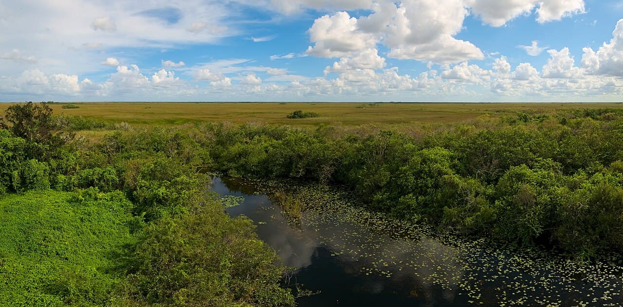 Shark Valley Observation Tower Panorama